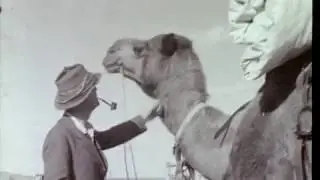CT Madigan's expedition through the Simpson Desert Expedition, 1939