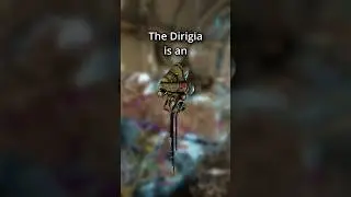 Diriga is a FANTASTIC Primer #shorts #tennocreate #warframe #reels #fyp #gaming #twitch
