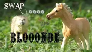 |SWAP| ÉNOORME swap avec ma blooonde