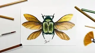 Watercolor Painting - METALLIC BEETLE