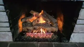 Rh Peterson  Real Frye Gnarled Split Oak Log Set With G46 Burner