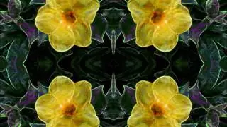KARIZMA TEXTILE DESIGNS   - MANDEVILLE