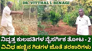 ನಿವೃತ್ತ ಕುಲಪತಿಗಳ ನೈಸರ್ಗಿಕ ತೋಟ 2 | organic fruits and vegetables farming | natural farming in kannada