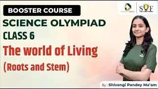 Science Olympiad Class 6 | The World of Living |  Roots and stem | SOF NSO 2024