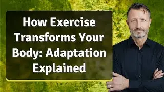 How Exercise Transforms Your Body: Adaptation Explained