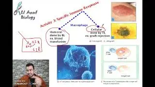 chapter 1: Activity 4: specific immune response part 1 (Grade 8)