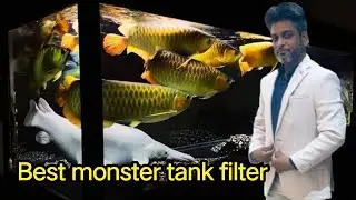 Monster aquarium mai konsa filter best hoga//bottom sump filtration kaise banaye #lets go #aquarium 