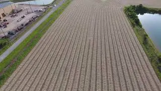 🚁 🌾 Perfectly Cut Hay Field‼️