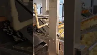 Bubble ultrasonic cleaning machine production line #machine #food