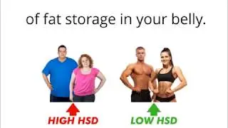 Stop Fat Storage | Food Lose Weight Fas
