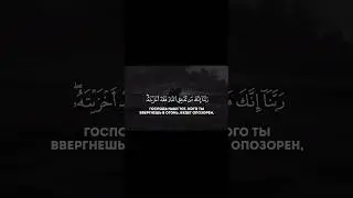 Сура Алю-Имран Аяты 192-194 Чтец Махди шишани