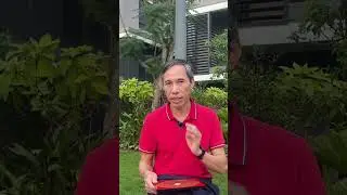 V&igrave; sao nh&agrave; hướng Đ&ocirc;ng n&ecirc;n phải x&acirc;y 2026 | Chia sẻ thời điểm l&agrave;m nh&agrave; hướng Đ&ocirc;ng