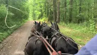 Dan Rosenthal and his Dartmoor 4