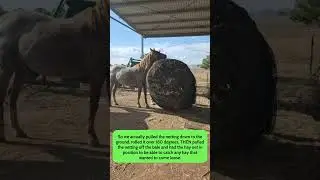 GutzBusta Knotless Hay Net | 4&rsquo; x 4&rsquo; Round Bale Demo