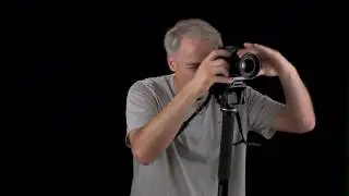 Manfrotto 561BHDV-1 Monopod Review