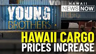 Young Brothers&rsquo; cargo rate hike proposal still open for public input