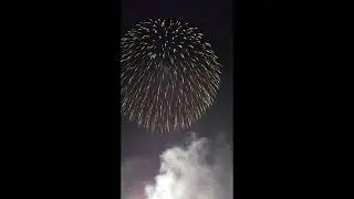 【vlog】2019年頃の板橋花火大会の撮影した花火