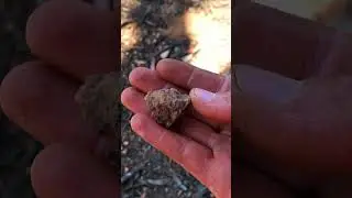 Busting Gold out of Ironstone #australia #gold #camping