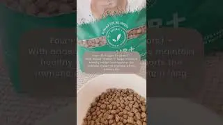 Feeding your Rabbit for a Happy, Healthy Lifestyle | Science Selective Food for Life | Small Pet