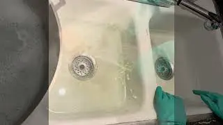 Manual Instrument Decontamination 