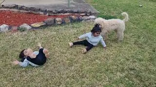 Poodle puppy tries to pull away Amelia and Amaya
