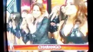 Charango canta romero santo