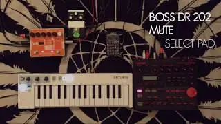 ARTURIA keystep // PO 14 sub // EHX v256 // BOSS dr202 - JAM