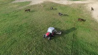 EXTREME  Hill Mowing! (Almost rolled)