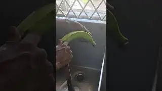 how to peel green plantains like a pro tips and tricks