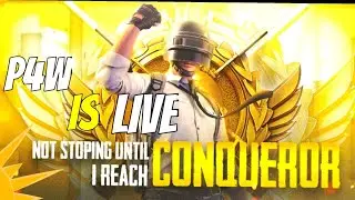 Road to Conqueror in 24 hours~P4W IS LIVE