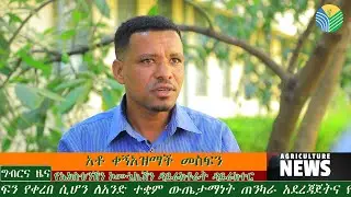 ግብርና በእውቀትና በሲስተም መመራት አለበት   