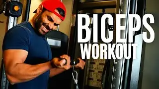 Biceps Exercise Tier List (Simplified) of 2024 | 6 Effective Bicep Exercises to Grow Arms -2024