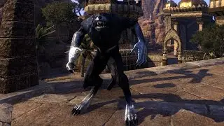 Elder Scrolls  Online PTS u46 WEREWOLF BUILD DPS