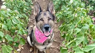FH1 Tracking practice continues today. Larkin did a great job!￼￼ Please leave a comment below ￼