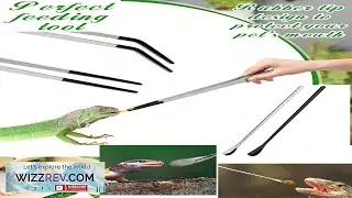 Stainless Steel Feeding Tongs Aquarium Long Tweezers Feeding Spoons Reptile Feeding Spoon Review