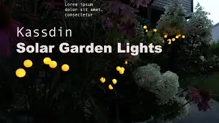 Solar Garden Lights, LED Solar Lights Outdoor Waterproof, Firefly Lights by Kassdin