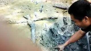 cari umpan urat