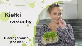 Rzeżucha - kiełki rzeżuchy - uprawa. Dlaczego warto jeść rzeżuchę? Pasta jajeczna z rzeżuchą