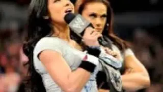 Elimination Chamber 2014 Highlights