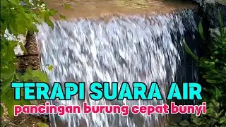 Terapi Suara Air Untuk Pancingan Burung Cepat Bunyi, Terapi Air Gemericik