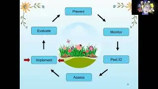 Earth-friendly Solutions for Your Gardening Woes: The IPM Approach