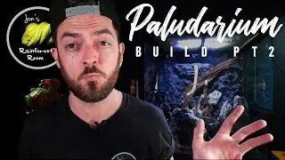 The Fire Belly Toad Paludarium Build Continues