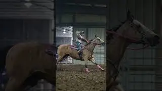 😍 #quarterhorse #barrelracing
