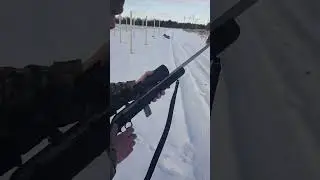 SAVAGE 64 22 LR