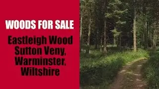 Woods for Sale: Eastleigh Wood, Sutton Veny, Warminster, Wiltshire