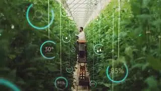 How Technology is Changing Gardening: Future Trends in Plant Care