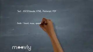 Multimedia [Copy]