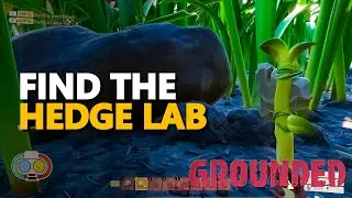 Find the Hedge Lab Grounded