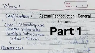 General Features of Volvox + Asexual Reproduction (Part-1) with Handwritten notes 