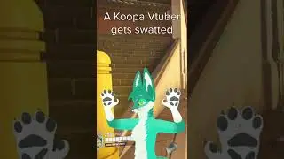 A Koopa Vtuber gets swatted